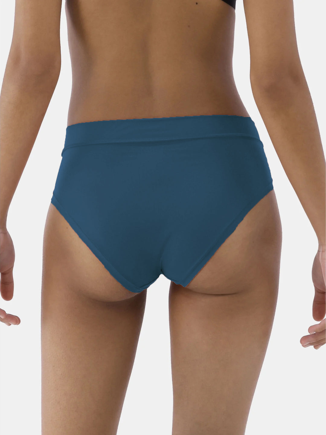 Womens Microfiber Hipster Brief Panty
