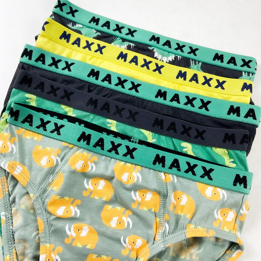 Pack of 3 Boys Fun Print Cotton Elastic Waistband Briefs Underwear