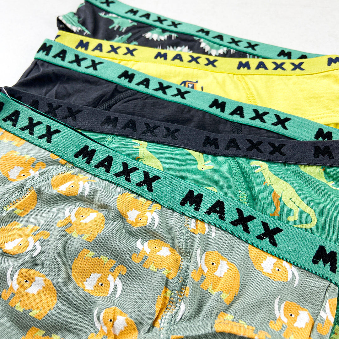 Pack of 3 Boys Fun Print Cotton Elastic Waistband Briefs Underwear
