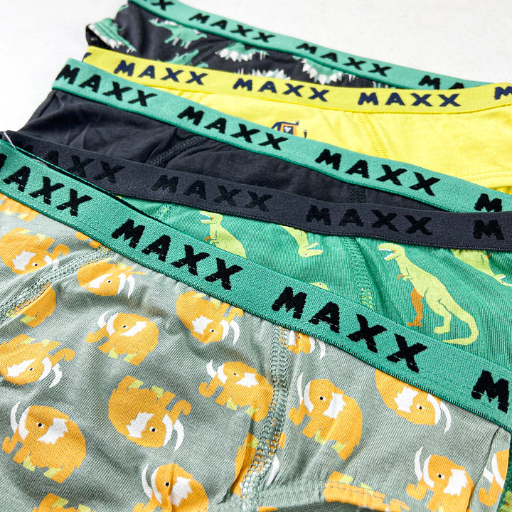 Pack of 3 Boys Fun Print Cotton Elastic Waistband Briefs Underwear
