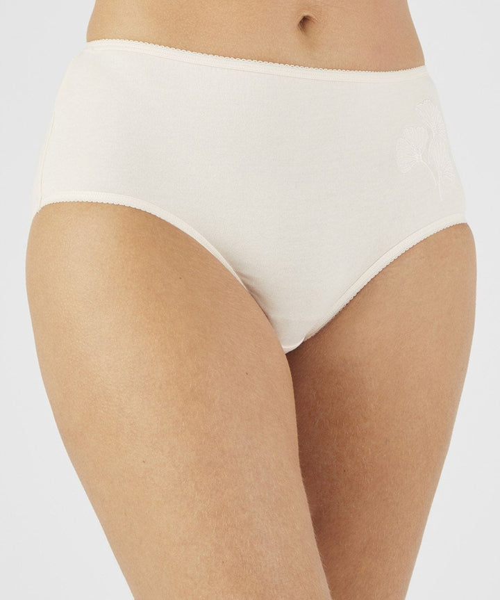 Pack of 4 Ladies Mid Rise Embroidered Cotton Brief Panty