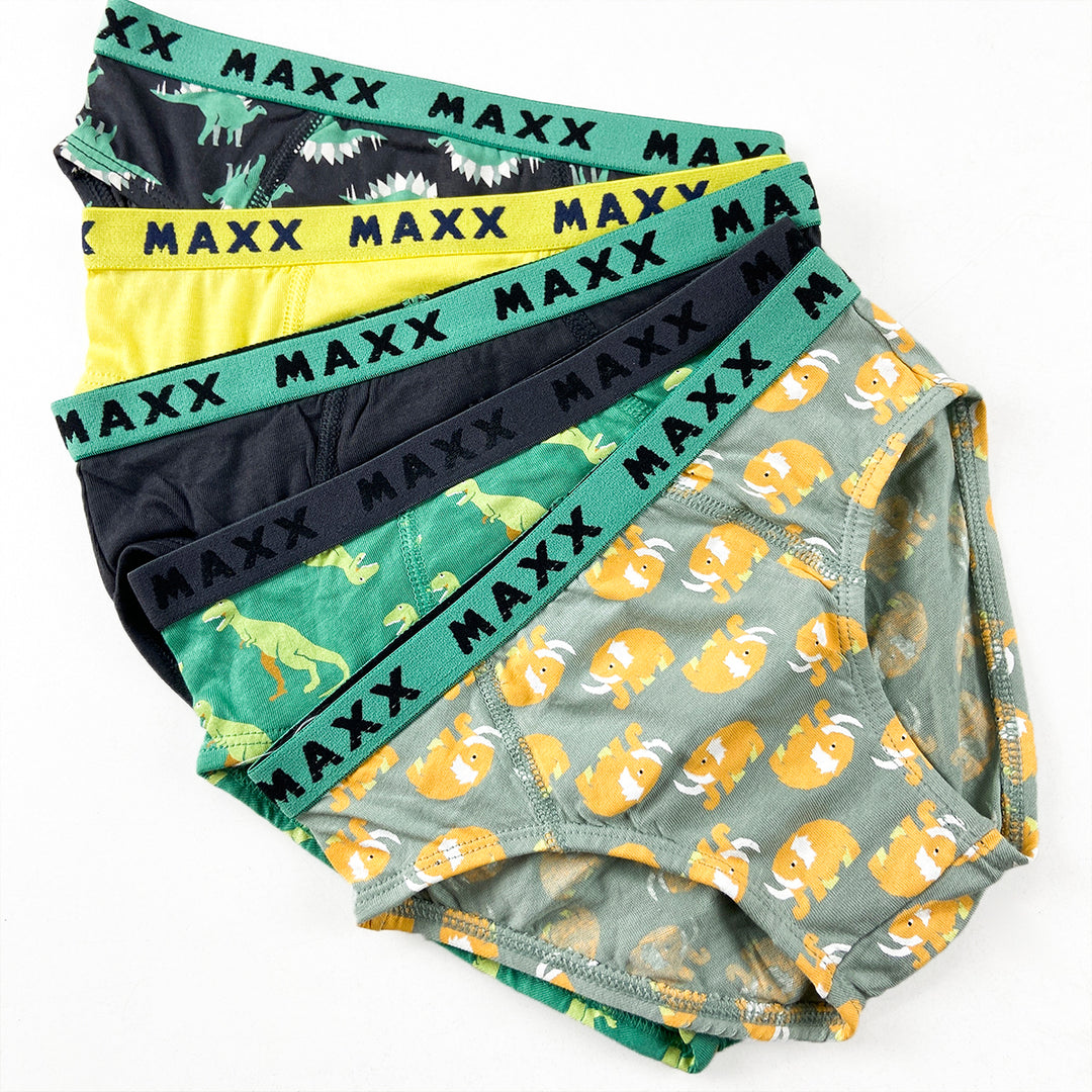 Pack of 3 Boys Fun Print Cotton Elastic Waistband Briefs Underwear