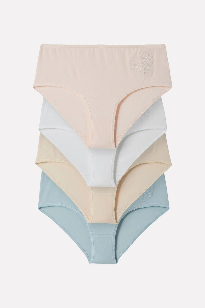 Pack of 4 Ladies Mid Rise Embroidered Cotton Brief Panty