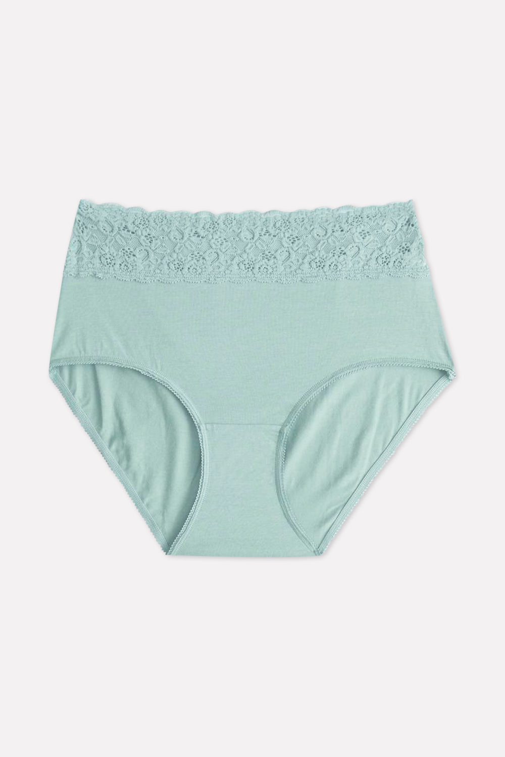 Ladies High Waisted Full Back Cover Printed Brief Panty