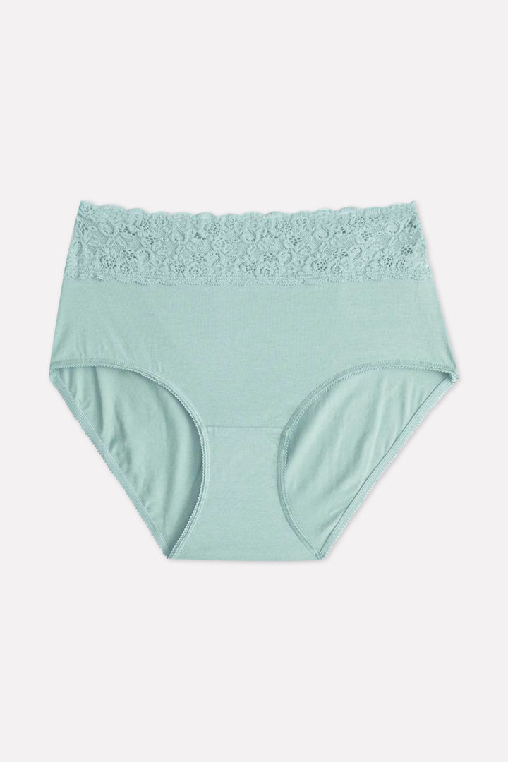 Ladies High Waisted Full Back Cover Printed Brief Panty