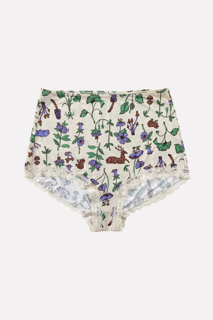 Ladies Whimsical High-Waisted Lace Trim Panties