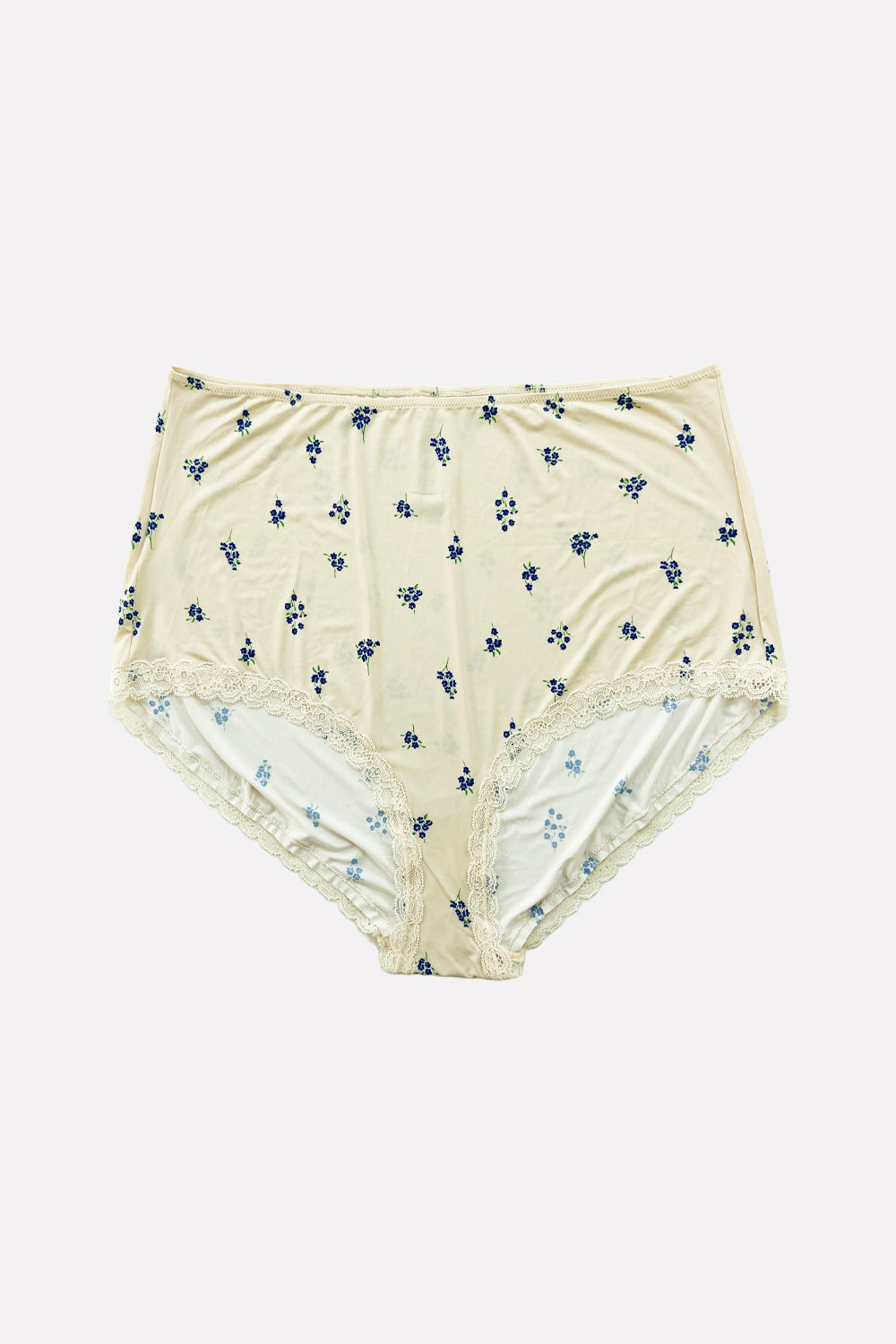 Ladies Whimsical High-Waisted Lace Trim Panties