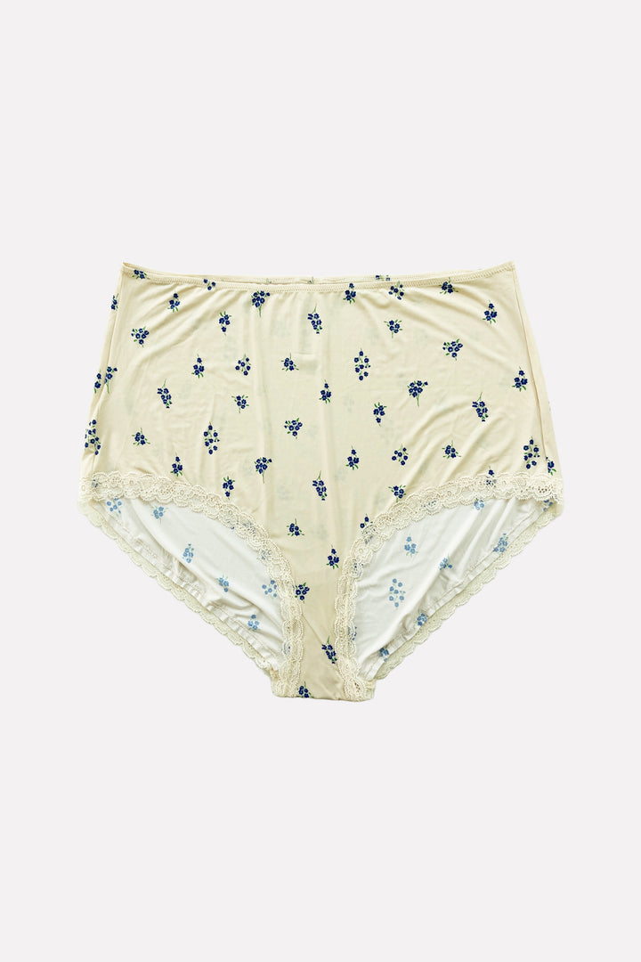 Ladies Whimsical High-Waisted Lace Trim Panties