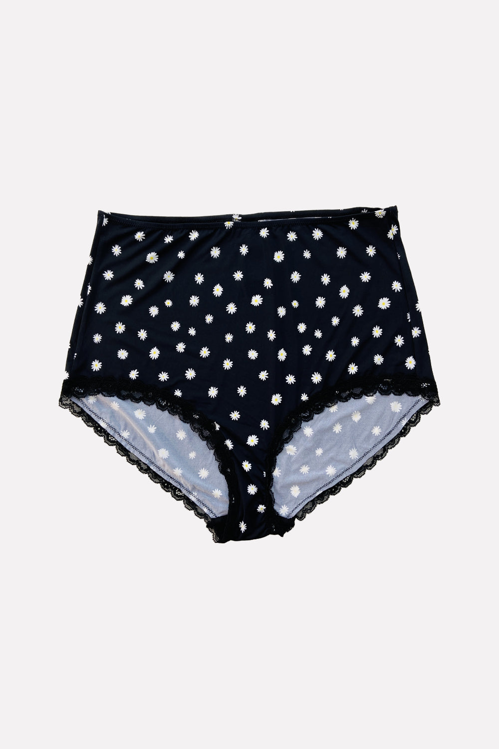 Ladies Whimsical High-Waisted Lace Trim Panties